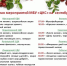 План работы культурно-досуговых учреждений МБУ "ЦКС" - Муезерский район